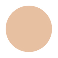 PERFECT MULTI BASE BB / MAQuillAGE