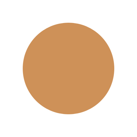 Intensive Skin Serum Foundation / BOBBI BROWN