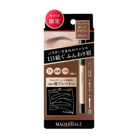 LASTING FOGGY BROW EX Limited Edition Set / MAQuillAGE